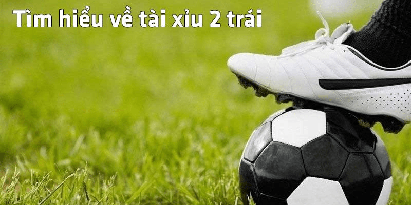 Thông tin về Tài Xỉu 2 trái cho dân chơi mới học hỏi Tìm hiểu về kèo Tài Xỉu 2 trái